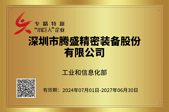 國(guó)家專精特新“小巨人”企業(yè)
